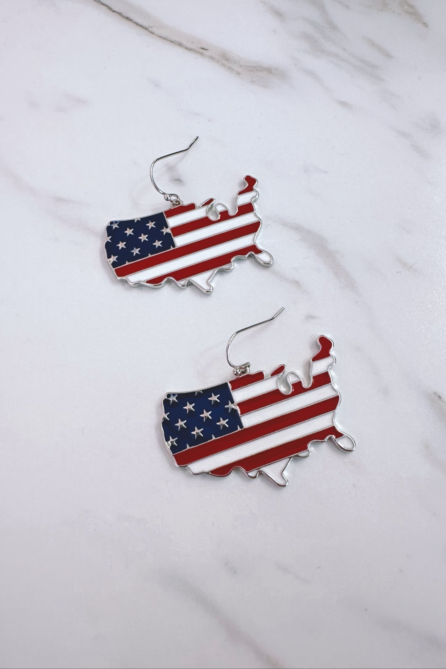 USA Map Earrings