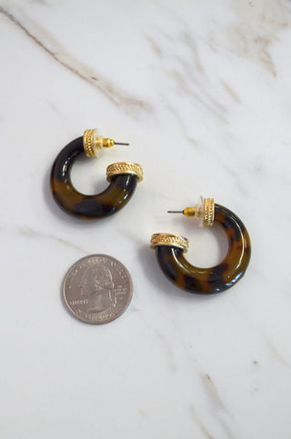 Tortoiseshell hoop earrings with gold accents on a marble surface, shown with a quarter for scale.