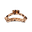 Blonde Tortoise