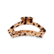 Blonde Tortoise