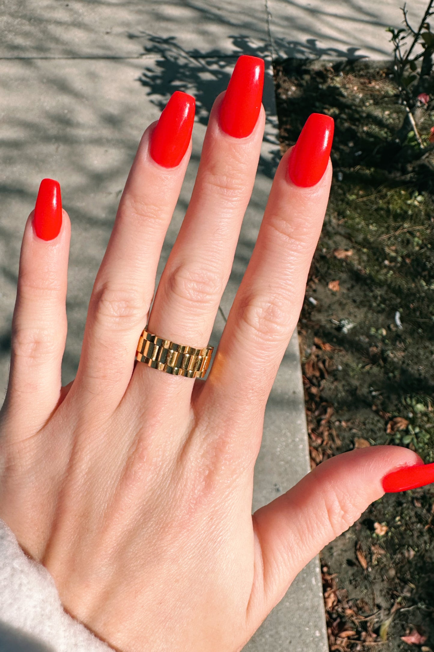 Chain Ring