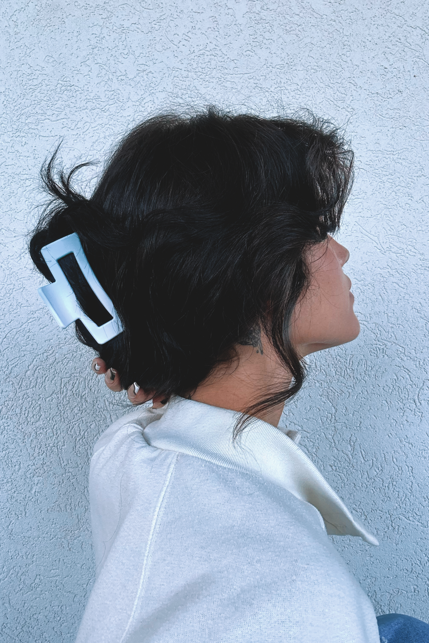 Ombre Claw Clip